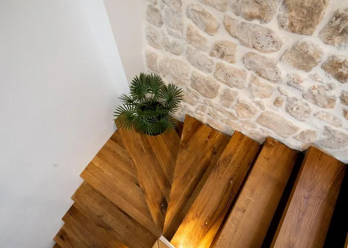 Nono's House Ii