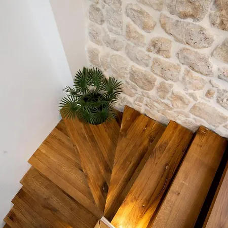 Nono's House Ii