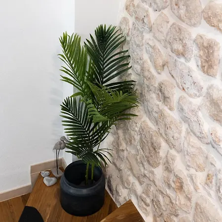 Διαμέρισμα Nono's House Ii *